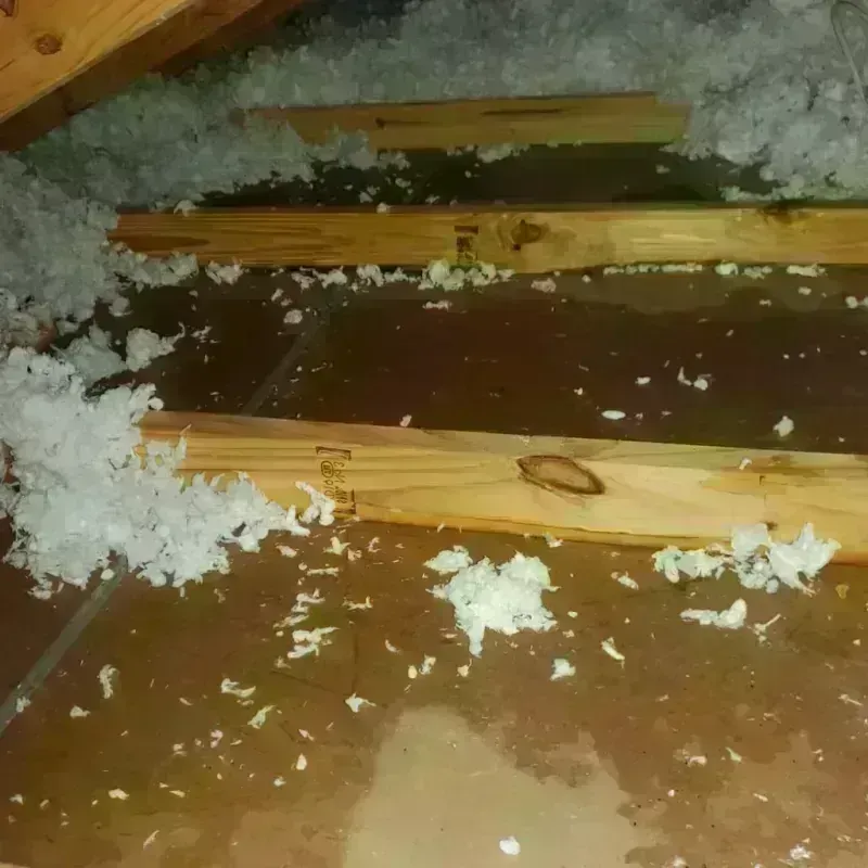 Attic Water Damage in Darien, WI